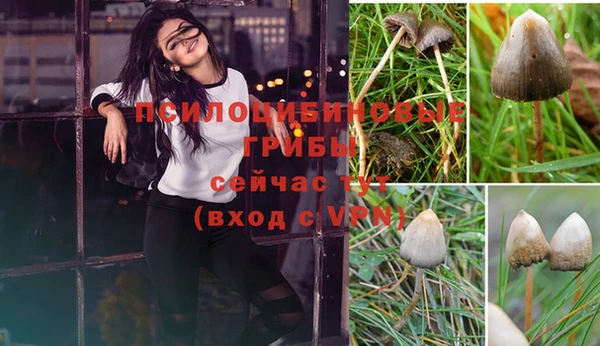альфа пвп Верхнеуральск