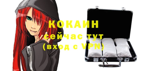 дмт Верея