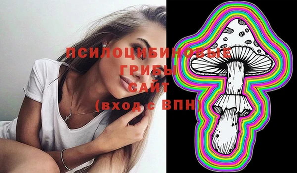 дмт Верея